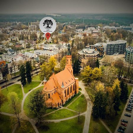 Inga Vacation House Druskininkai Bagian luar foto