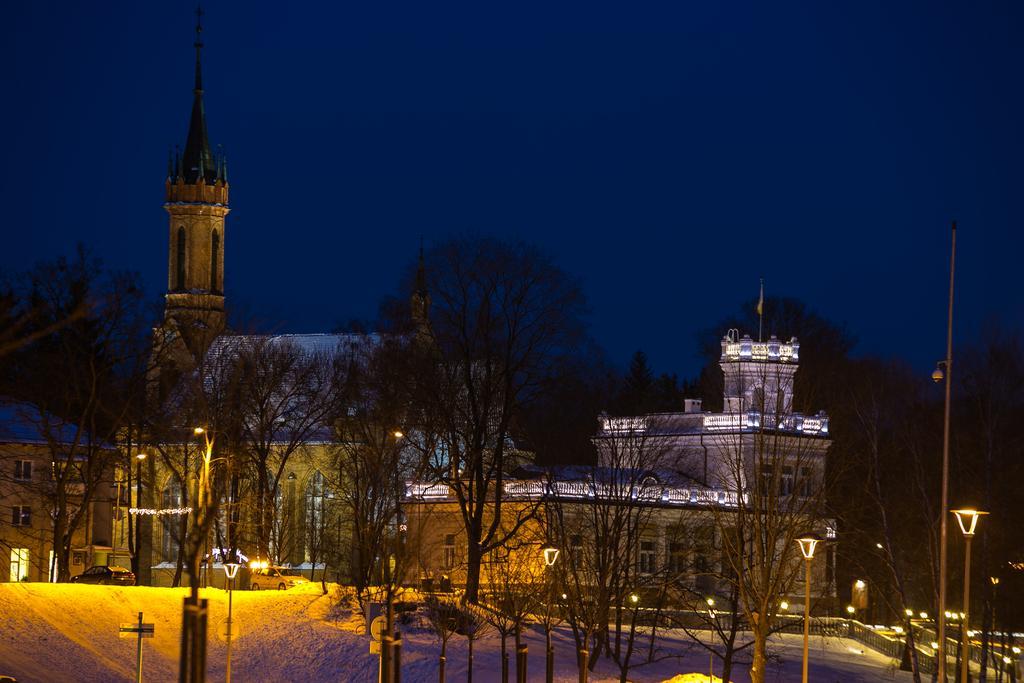 Inga Vacation House Druskininkai Bagian luar foto